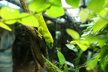 Similar image 21989116