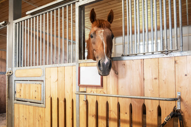 Similar image 21979715