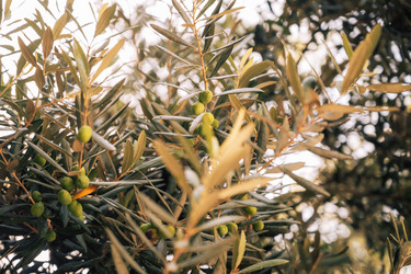 Similar image 21979727