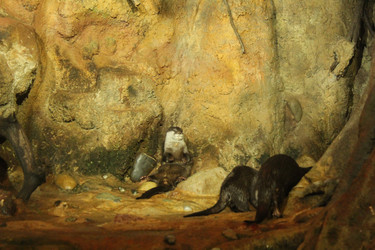 Similar image 21989132