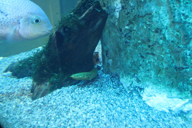 Similar image 21989133