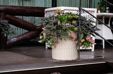 Similar image 21979278