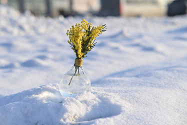 Similar image 21979283