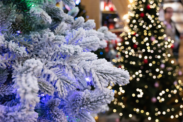 Similar image 21979290