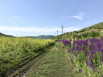 Similar image 21978163