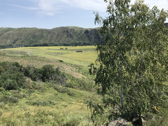 Similar image 21978168