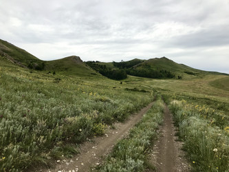 Similar image 21978171