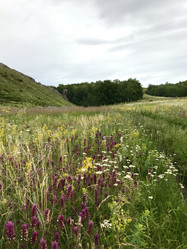 Similar image 21978172