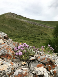 Similar image 21978175