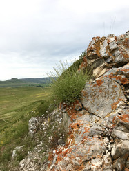 Similar image 21978176