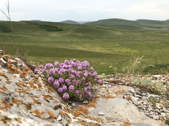 Similar image 21978181