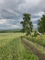 Similar image 21978183