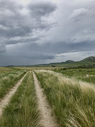 Similar image 21978185