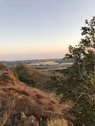 Similar image 21978187