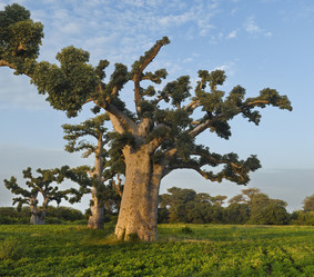 Similar image 21980402