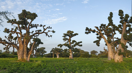 Similar image 21980404