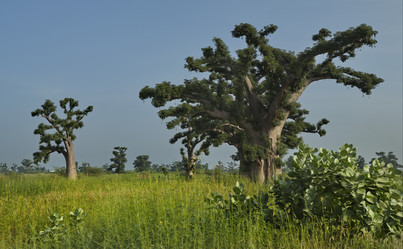 Similar image 21980405