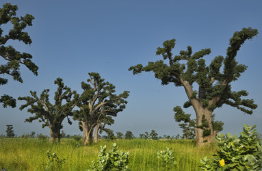 Similar image 21980406