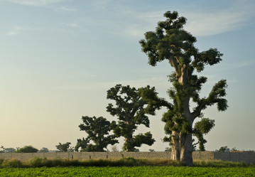 Similar image 21980414