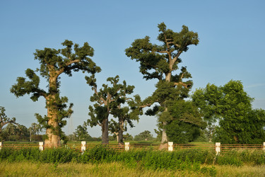 Similar image 21980415