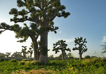 Similar image 21980416