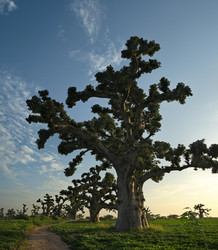 Similar image 21980418