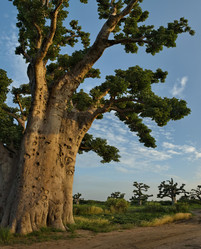 Similar image 21980419