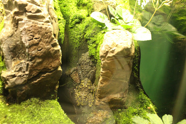 Similar image 21989135