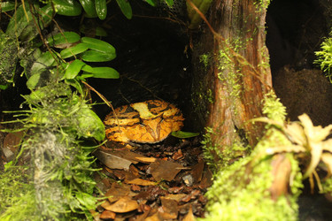 Similar image 21989137