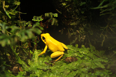 Similar image 21989139