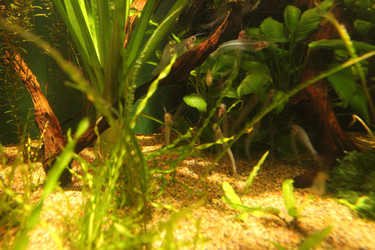 Similar image 21989140