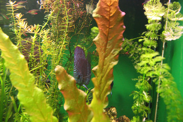 Similar image 21989141