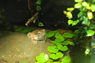 Similar image 21989142