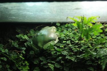 Similar image 21989143