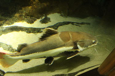 Similar image 21989144