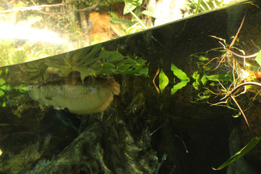 Similar image 21989145