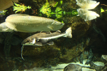 Similar image 21989146