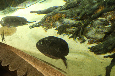 Similar image 21989147