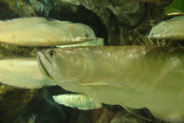 Similar image 21989148