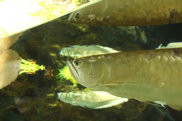 Similar image 21989149