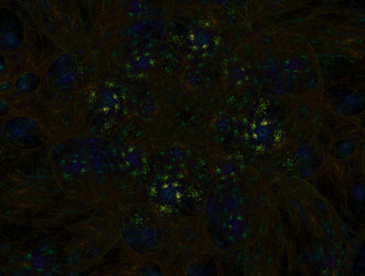 Similar image 21977371