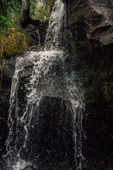 Similar image 21979746