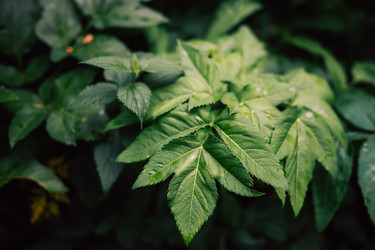 Similar image 21979747