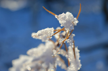 Similar image 21989159