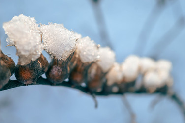 Similar image 21989160