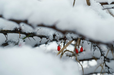 Similar image 21989161