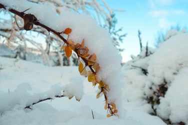 Similar image 21989162