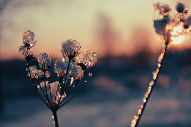 Similar image 21989163