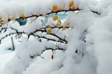 Similar image 21989164