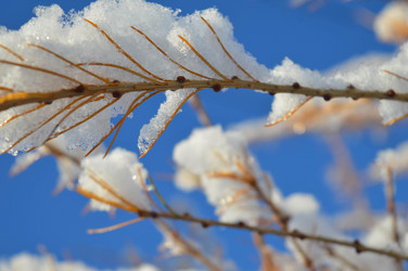 Similar image 21989165